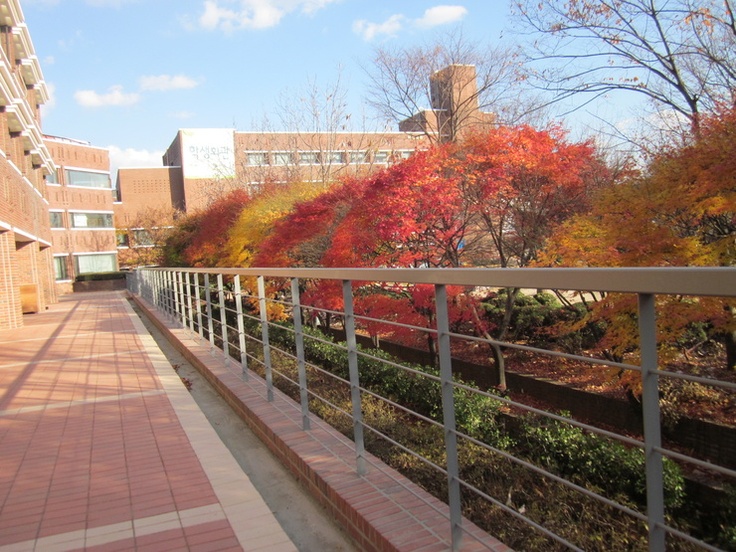 South Korea Duksung Woman's University Season Fall So beautiful