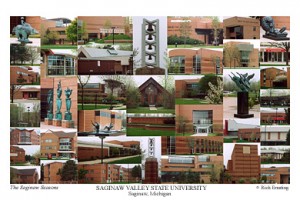 Trường đại học Saginaw Valley