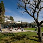 Trường đại học Waikato