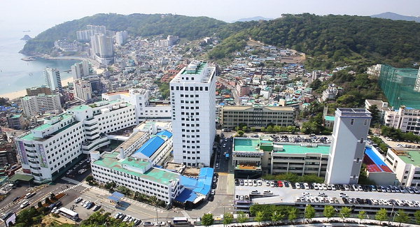 Đại học Kosin - Trường top tại Busan cấp Visa thẳng 2020 « AMEC