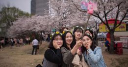 Thời tiết tháng 3 vô cùng thích hợp để du học Hàn Quốc
