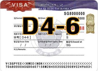 visa-d4-6