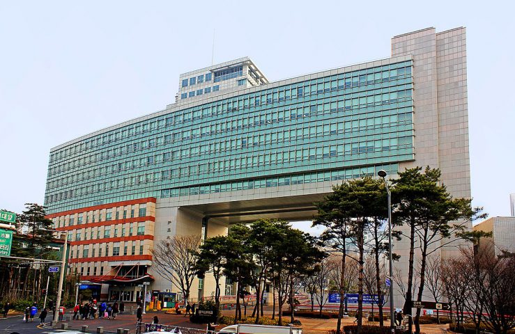 đại học Hongik